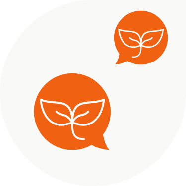 טיפות כתומות